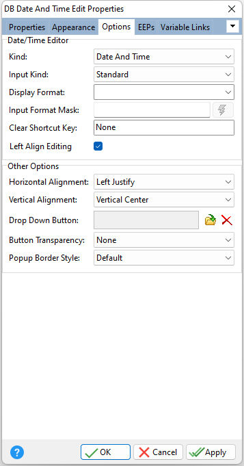 DBDateTimeEdit_Options