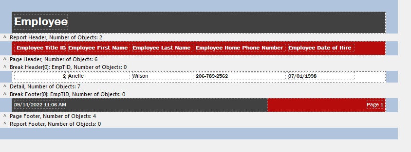 ReportWizard_EmpListBreak_Designer