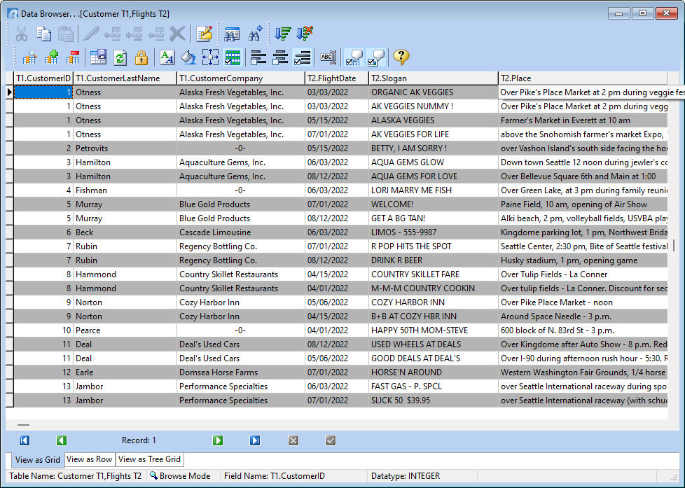 DataBrowser_View